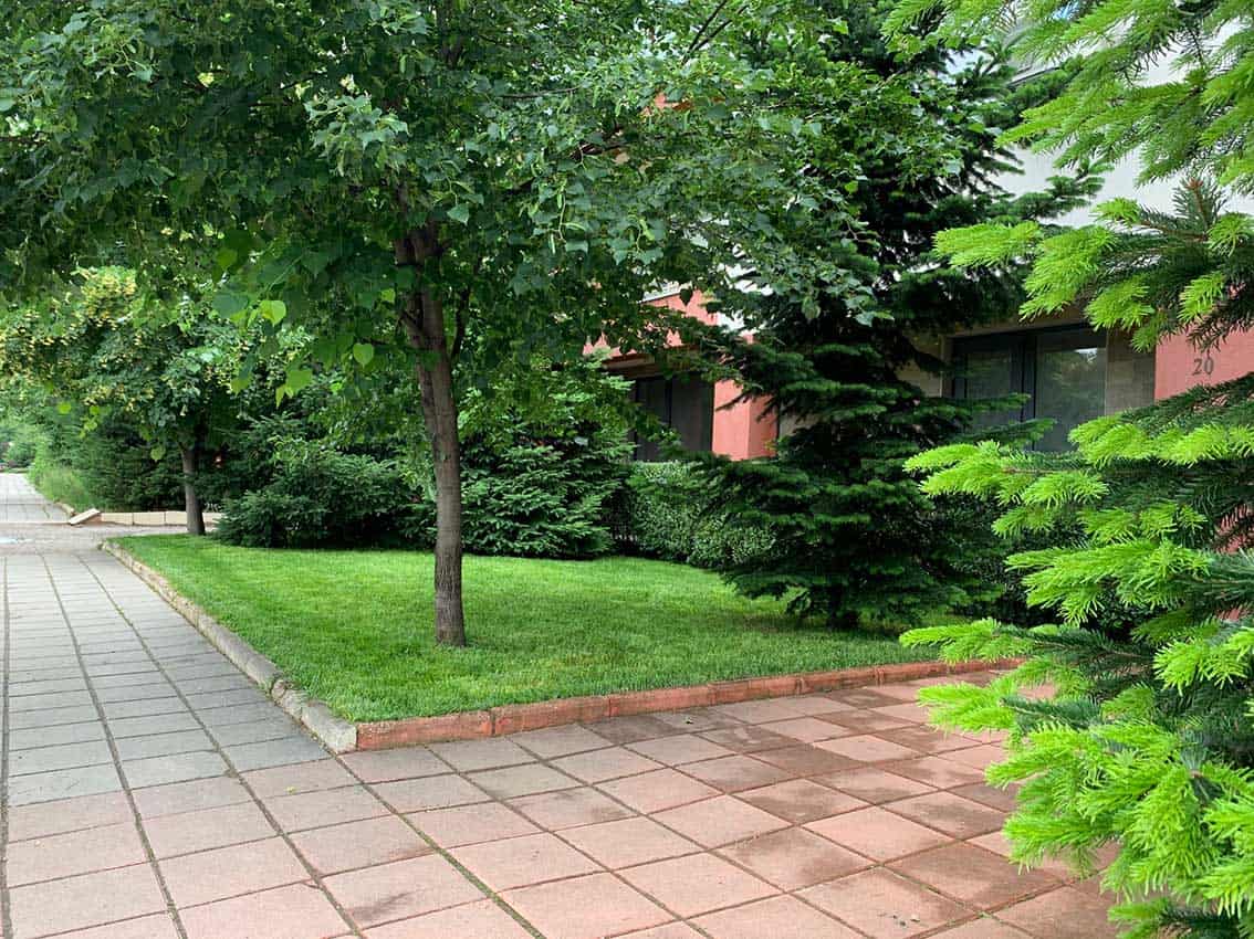 Правилната поддръжка на тревата през лятото