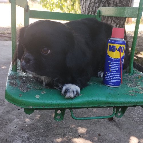 С Мая ремонтираме стара, скърцаща люлка с помощта на  WD-40