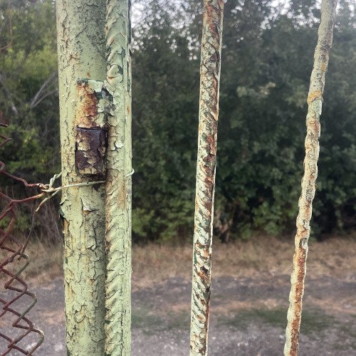 Панти, стари колкото света