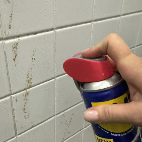 Разкарахме упоритите петна ... WD40