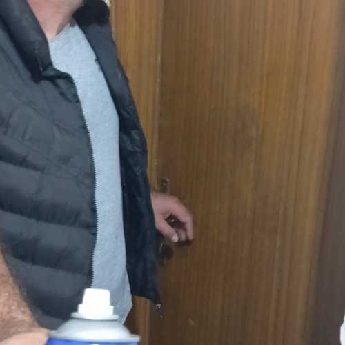 Скърцащи панти на входната врата