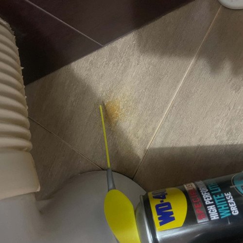 Ръждиво петно